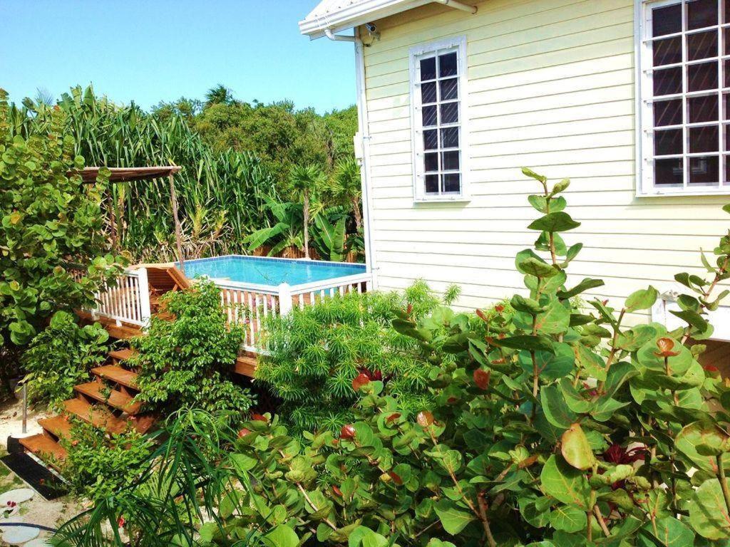 Hidden Gem Cabana Caye Caulker Exteriör bild