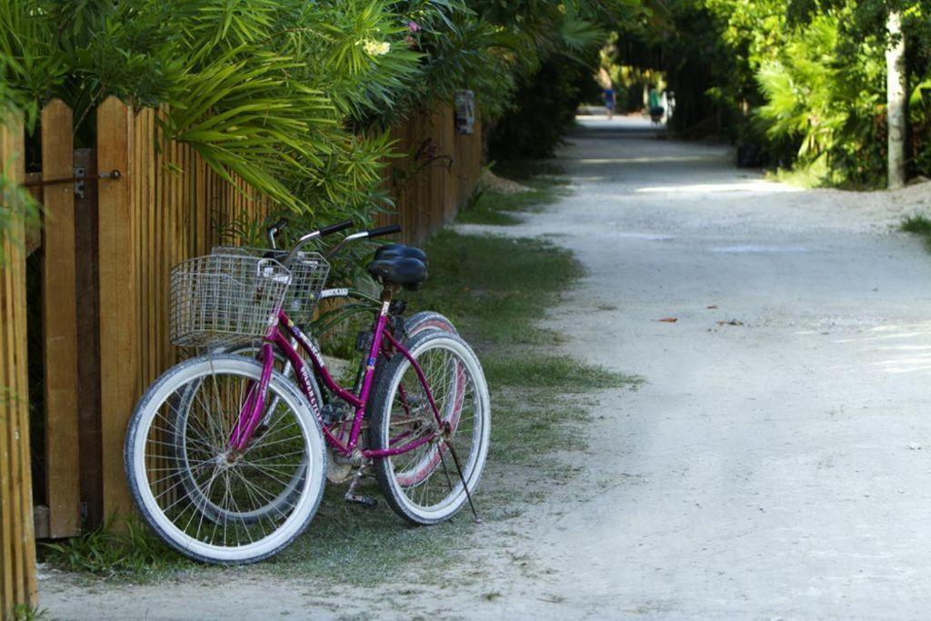 Hidden Gem Cabana Caye Caulker Exteriör bild